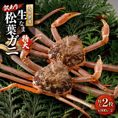 <11月中旬～2月下旬配送予定>鳥取県産　訳あり生松葉ガニ(特大2枚)