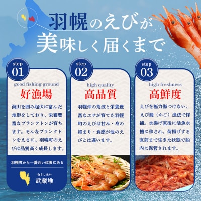 超速リキッド凍結でドリップゼロ!北海道羽幌産生鮮甘えび 400g【03125】
