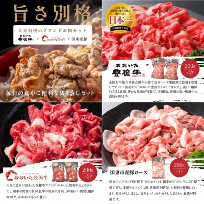 大分県産 牛・豚の切り落としセット(真空包装) 計1kg_2472R