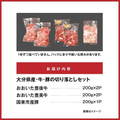 大分県産 牛・豚の切り落としセット(真空包装) 計1kg_2472R