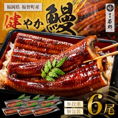 健やか鰻 国産うなぎ蒲焼(無頭)6尾(計930g以上)