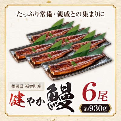 健やか鰻 国産うなぎ蒲焼(無頭)6尾(計930g以上)