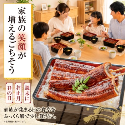 健やか鰻 国産うなぎ蒲焼(無頭)6尾(計930g以上)