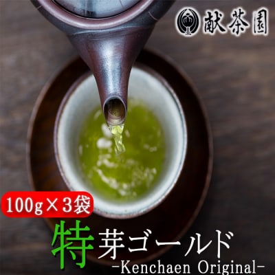 献茶園 オリジナル 深蒸し茶 特芽ゴールド (100g×3袋) 八女茶[No5354-0874]