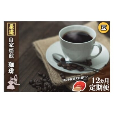 コーヒー 定期便 12ヶ月 Morrow珈琲 100g×2種 豆[No5354-0231]
