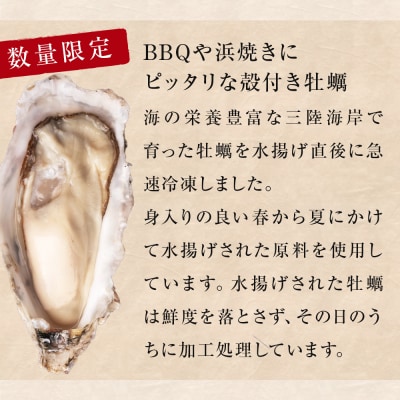 訳あり 殻付き牡蠣 3kg  三陸産 冷凍 加熱用 カキ かき BBQ 浜焼き 宮城県 石巻市