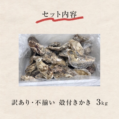 訳あり 殻付き牡蠣 3kg  三陸産 冷凍 加熱用 カキ かき BBQ 浜焼き 宮城県 石巻市