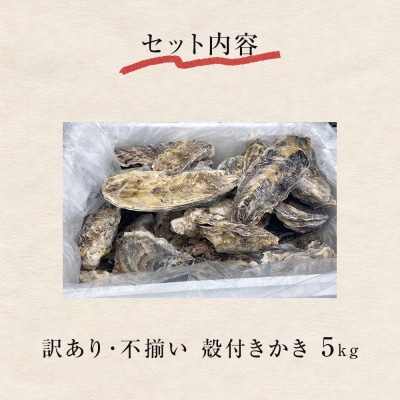 訳あり 殻付き牡蠣 5kg  三陸産 冷凍 加熱用 カキ かき BBQ 浜焼き 宮城県 石巻市