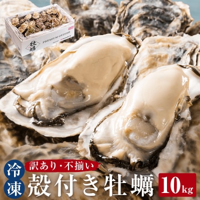 訳あり 殻付き牡蠣 10kg  三陸産 冷凍 加熱用 カキ かき BBQ 浜焼き 宮城県 石巻市