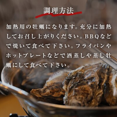 訳あり 殻付き牡蠣 10kg  三陸産 冷凍 加熱用 カキ かき BBQ 浜焼き 宮城県 石巻市
