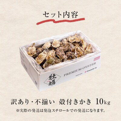 訳あり 殻付き牡蠣 10kg  三陸産 冷凍 加熱用 カキ かき BBQ 浜焼き 宮城県 石巻市