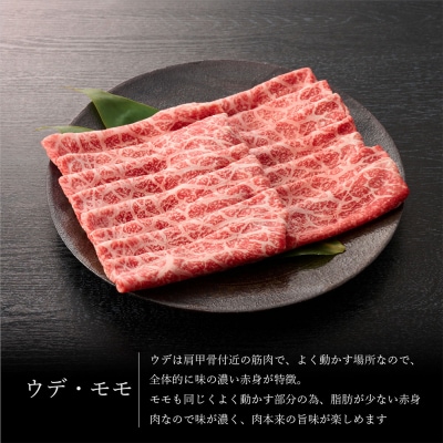 【3回定期便】佐賀牛特選食べ尽くし贅沢セット(H996P131)