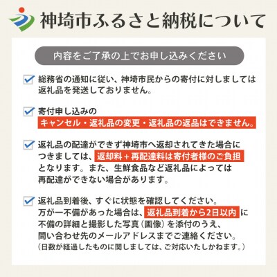 【3回定期便】特別限定セット さがびよりと佐賀牛 おいしいコラボ(H996P132)