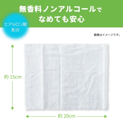 クリーンワンウェットティッシュ花粉ガード70枚3個パック×12袋