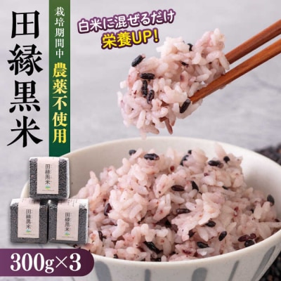 田縁黒米(でんえんくろまい)300g×3パック 糸島市  [ATM003]