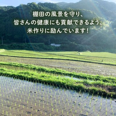 【全3回定期便】 田縁米(でんえんまい)・瑞梅寺(ずいばいじ) 白米 5kg 米 [ATM006]