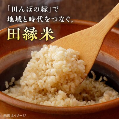 【全3回定期便】 田縁米(でんえんまい)・瑞梅寺(ずいばいじ) 玄米 5kg 米 [ATM008]