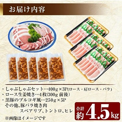 鹿児島黒豚4.5kg感謝セット【米平バークシャー】　D-057 　
