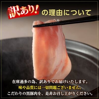 《訳あり》鹿児島黒豚しゃぶしゃぶパーティセット合計2.8kg【米平バークシャー】C-065