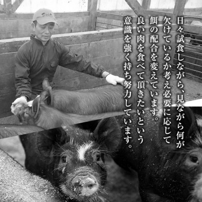 鹿児島黒豚しゃぶしゃぶ&トンカツ詰め合わせセット合計約3kg以上【米平バークシャー】C-061