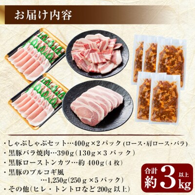 鹿児島黒豚しゃぶしゃぶ&トンカツ詰め合わせセット合計約3kg以上【米平バークシャー】C-061