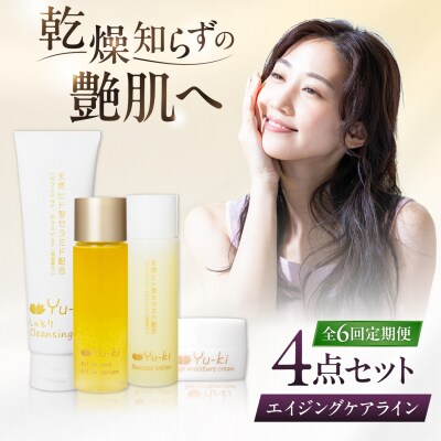 【全6回定期便】エイジングケアライン 4点セット[AHJ036]