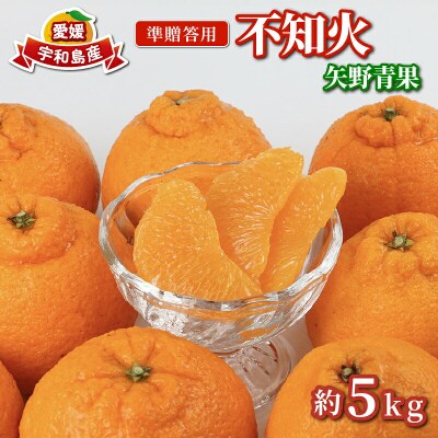 準贈答用 不知火 5kg 矢野青果 B012-171018
