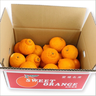 準贈答用 不知火 5kg 矢野青果 B012-171018