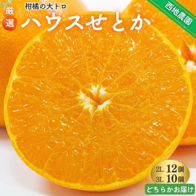 西地農園ハウスせとか 2L 12個 / 3L10個【2027年2月中旬～順次発送】【mnd003B】