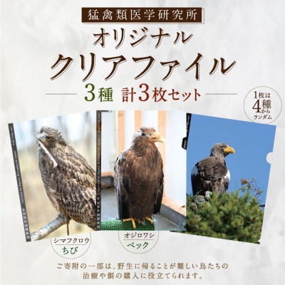 【 7日程度で発送 】 猛禽類医学研究所オリジナルクリアファイル 3種セット