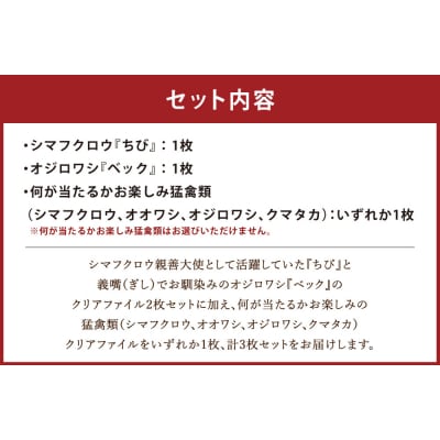 【 7日程度で発送 】 猛禽類医学研究所オリジナルクリアファイル 3種セット