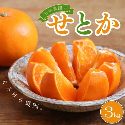 2Lか3L 9玉～12玉 石本農園のハウスせとか【mis007B】