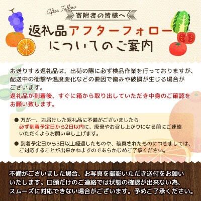 2Lか3L 9玉～12玉 石本農園のハウスせとか【mis007B】