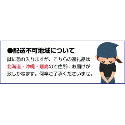 訳あり 2S-2Lサイズおまかせ 石本農園の早生温州みかん 約4.5kg【mis014B】