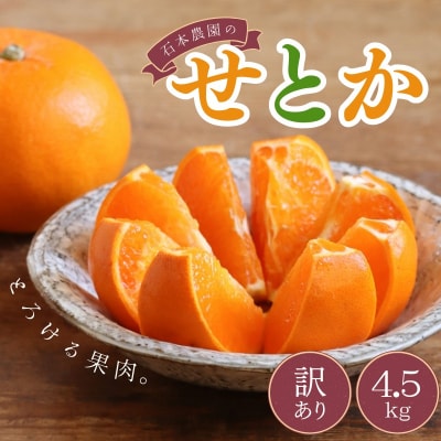 訳あり M-4L サイズおまかせ 石本農園のせとか 4.5kg【mis013B】