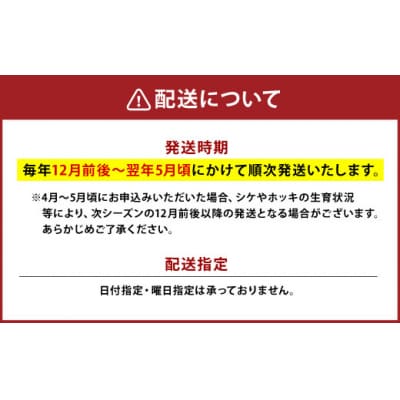 【活加工】剥きほっき(刺身用)1.5kg(10玉前後)×3袋 ほっき ほっき貝 