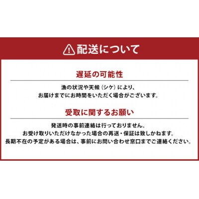 【活加工】剥きほっき(刺身用)合計2kg 1kg(20玉前後)×2袋 ほっき