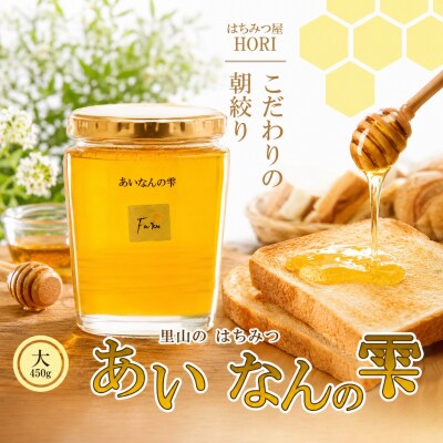 里山のはちみつ　～あいなんの雫～　450g