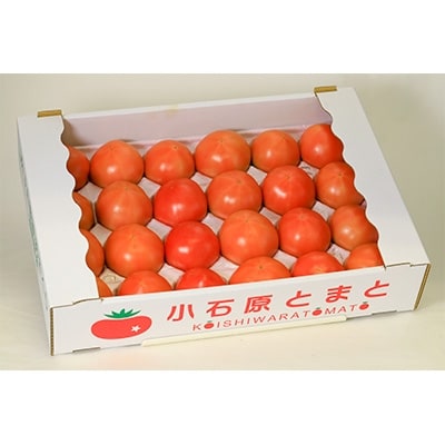 【エコマーク認証】大自然の恵み　熊谷さんちの甘くて美味しい大玉トマト(4kg)