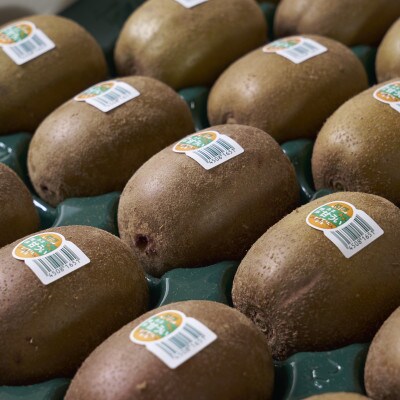 福岡県産ブランドキウイ「甘うぃ」約3kg(24-33玉)(東峰村)