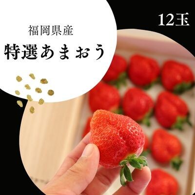 【先行受付】特選あまおう　12玉　12月より順次発送(東峰村)