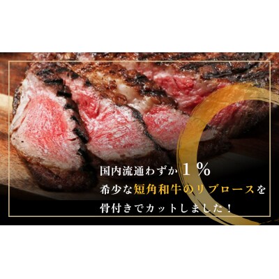 骨付きステーキ 700g 2枚入り 短角和牛 トマホーク ステーキ 冷凍 真空パック 宮城県石巻市 