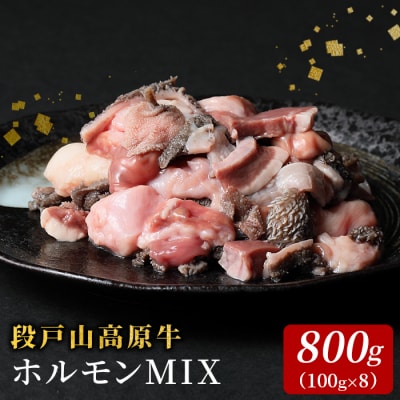 国産牛 段戸山高原牛 ホルモンミックス 800g (100g×8パック) もつ鍋 焼肉用 BBQ