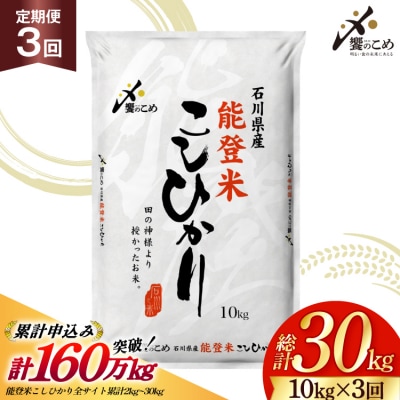 【定期便 3回】 能登米 こしひかり 10kg 総計30kg [38601408]