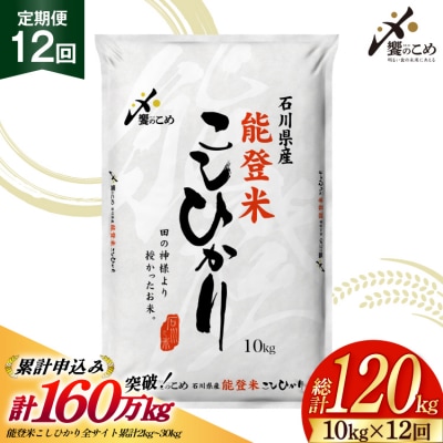 米 定期便 能登米 こしひかり 10kg 12回 総計120kg 38601406