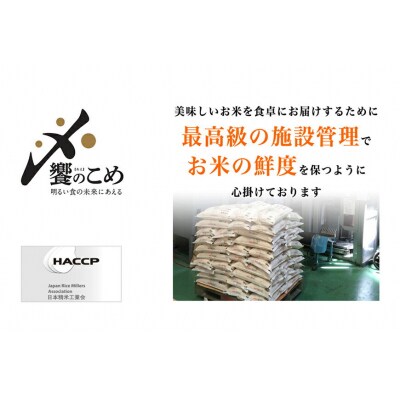 【期間限定発送】 米 令和7年 2kg ×4種 計 8kg 精米 食べ比べ [38601091]