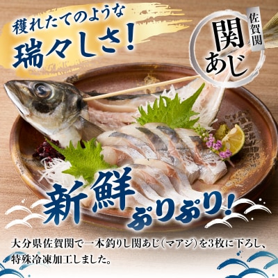 関冷刺　関あじ(大)_E04018