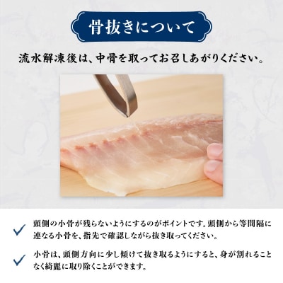 関冷刺　関あじ(大)_E04018