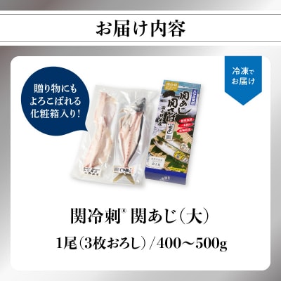 関冷刺　関あじ(大)_E04018
