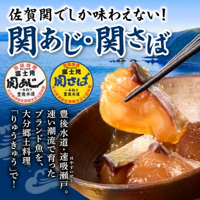 関あじ・関さばりゅうきゅうパック_E19002